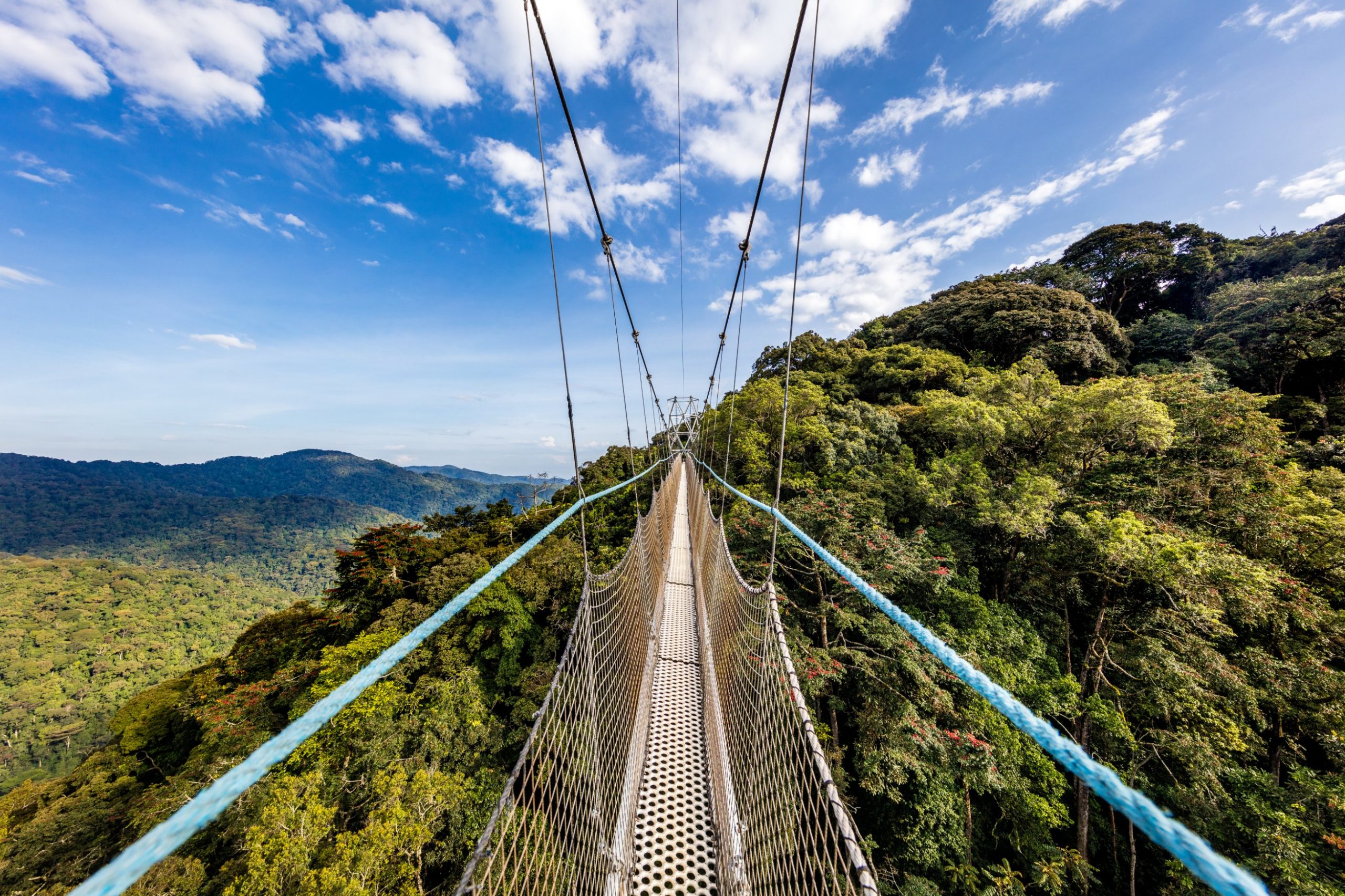 Nyungwe Forest National park